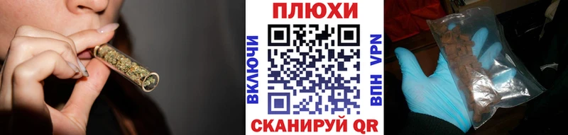 ГАШ Premium Калининец