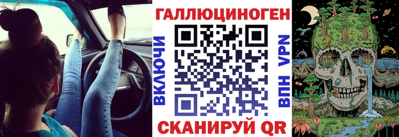где найти   Калининец  Псилоцибиновые грибы прущие грибы 